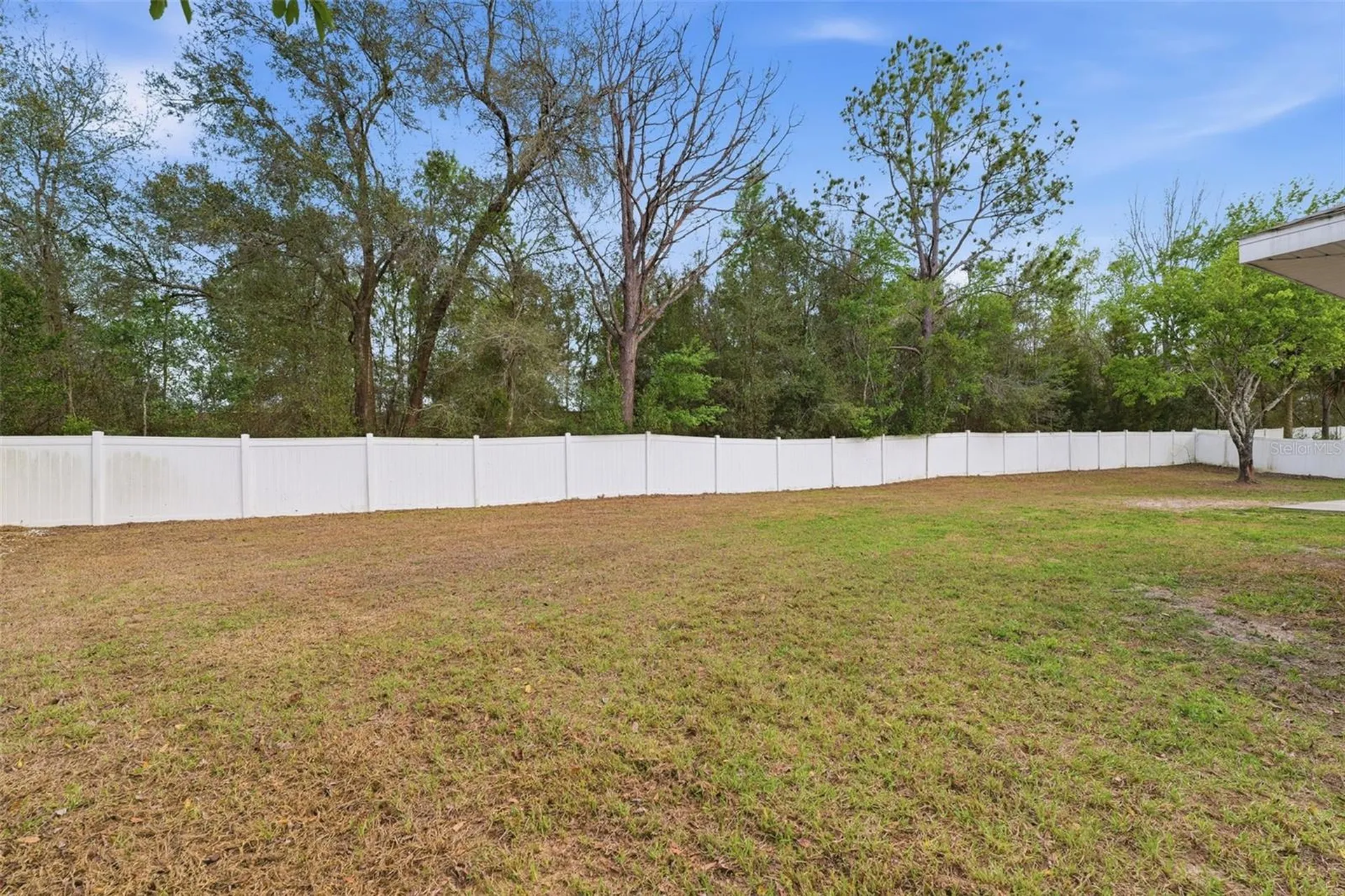 3902 W Featheredge Court Lecanto FL 34461