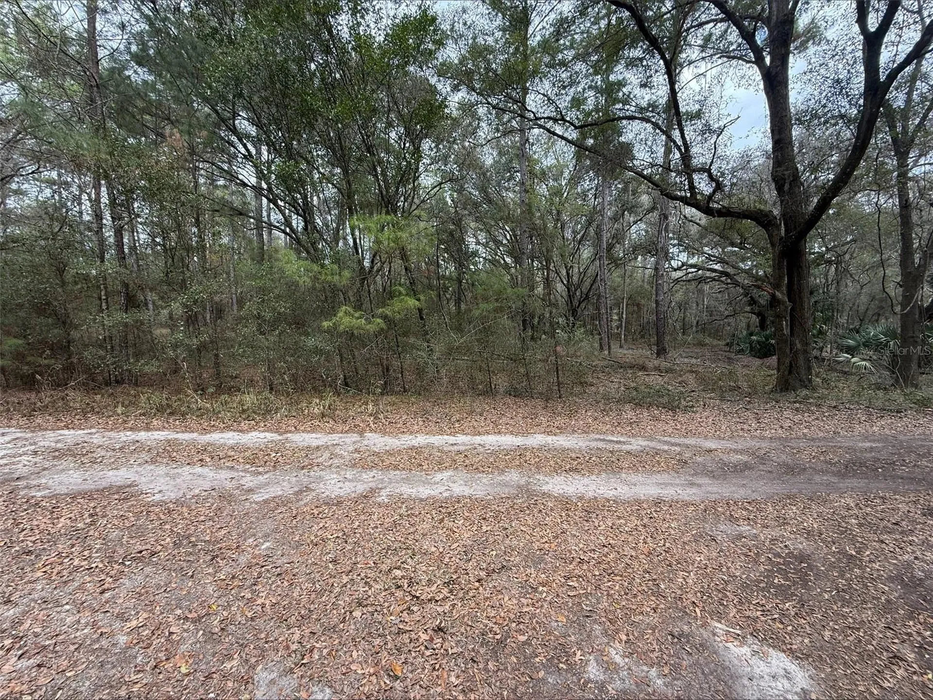 00 SW 9th Place Ocala FL 34481