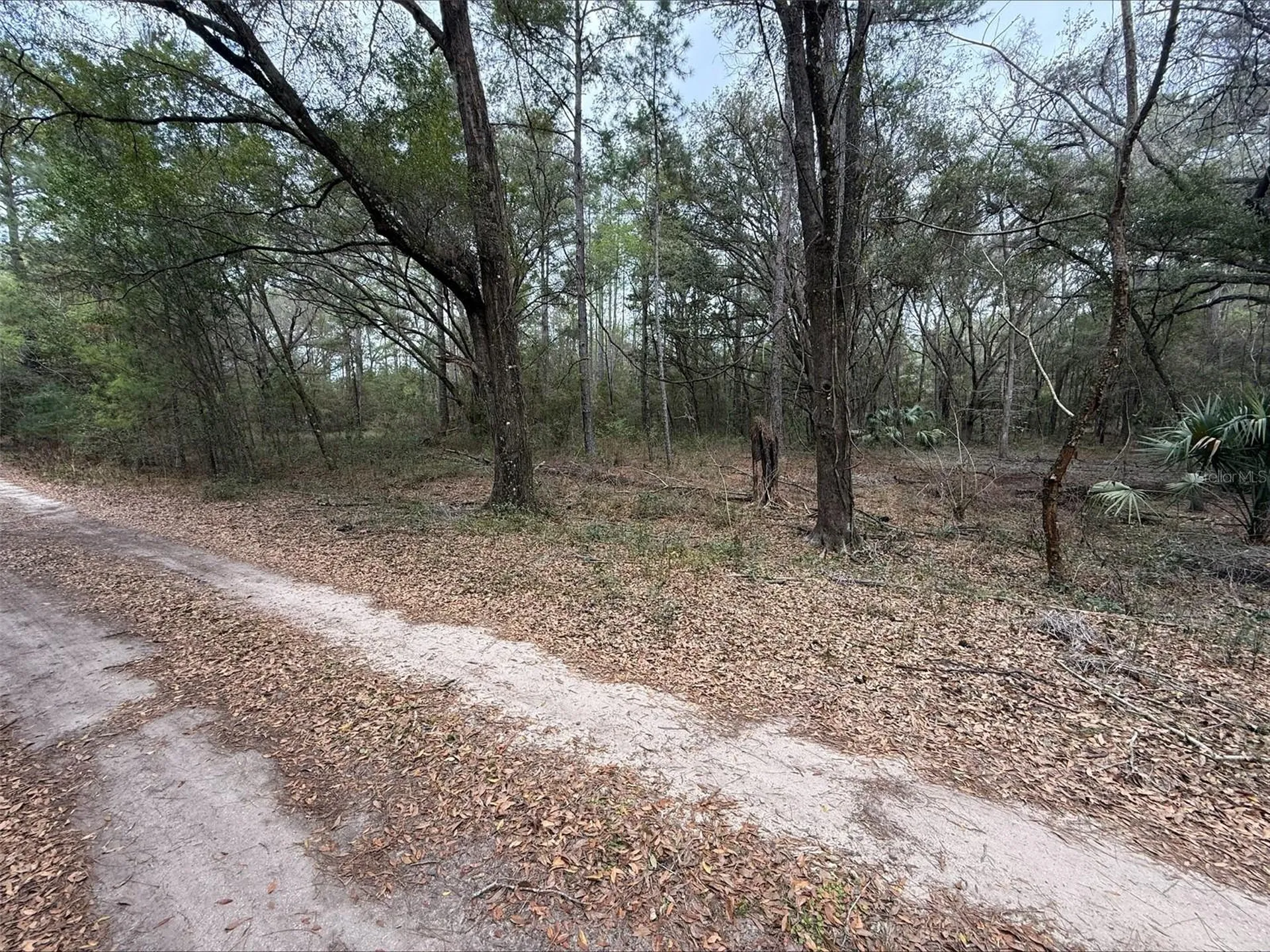 00 SW 9th Place Ocala FL 34481