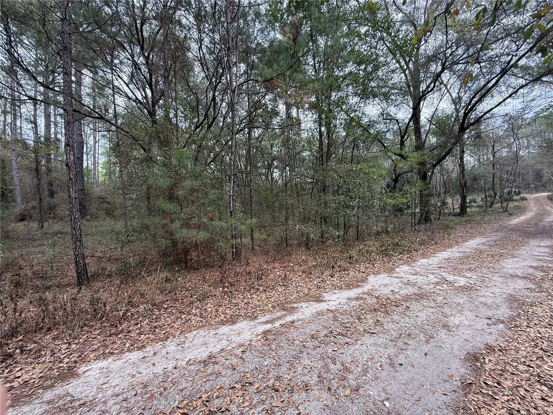 00 SW 9th Place Ocala FL 34481