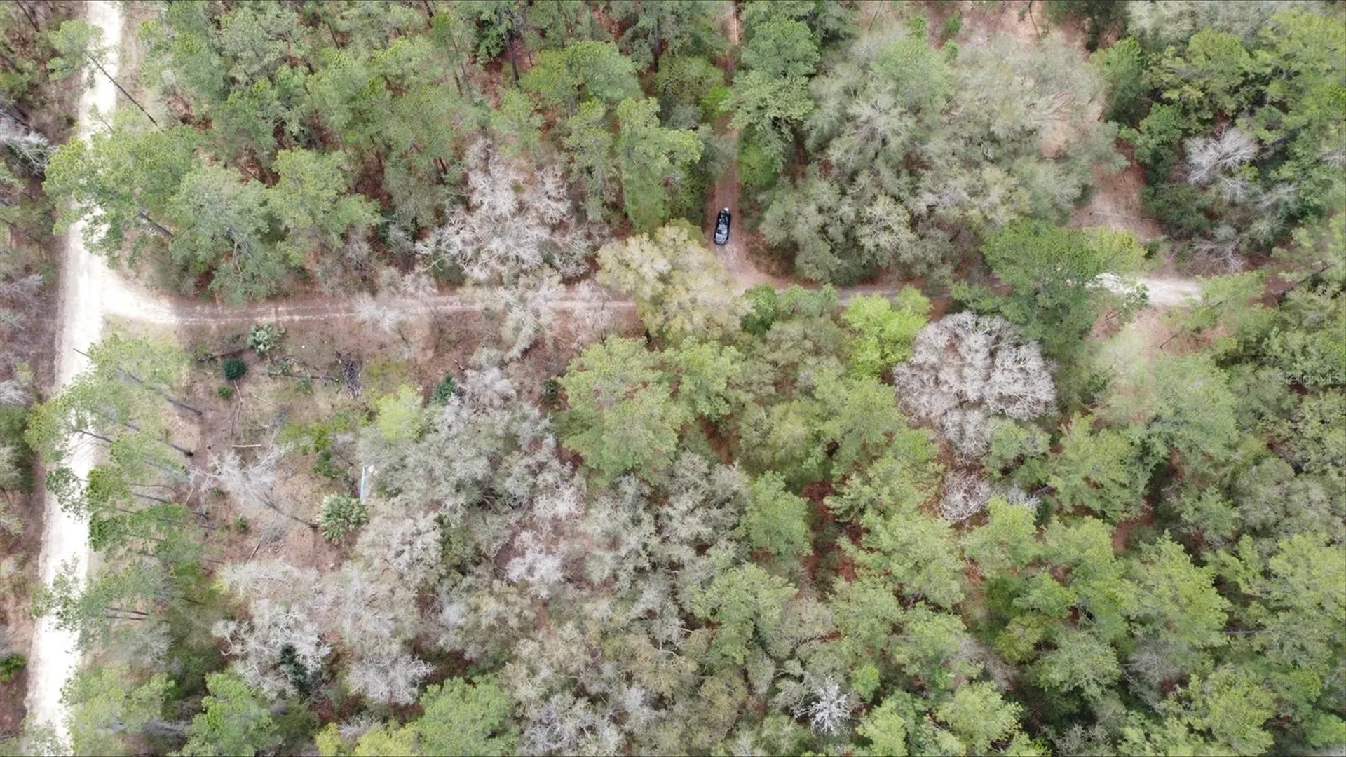00 SW 9th Place Ocala FL 34481
