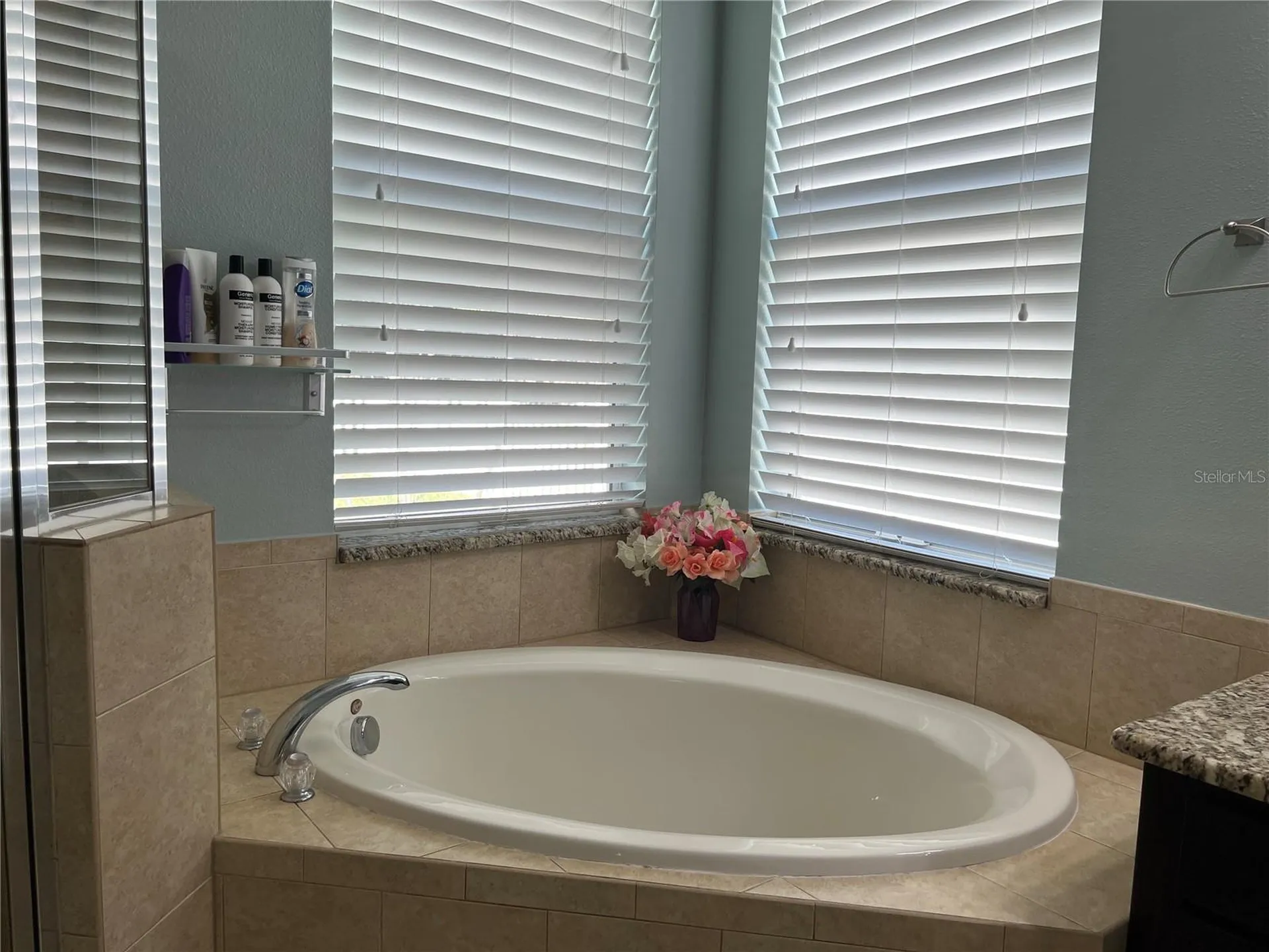 4419 Azure Isle Way Kissimmee FL 34744