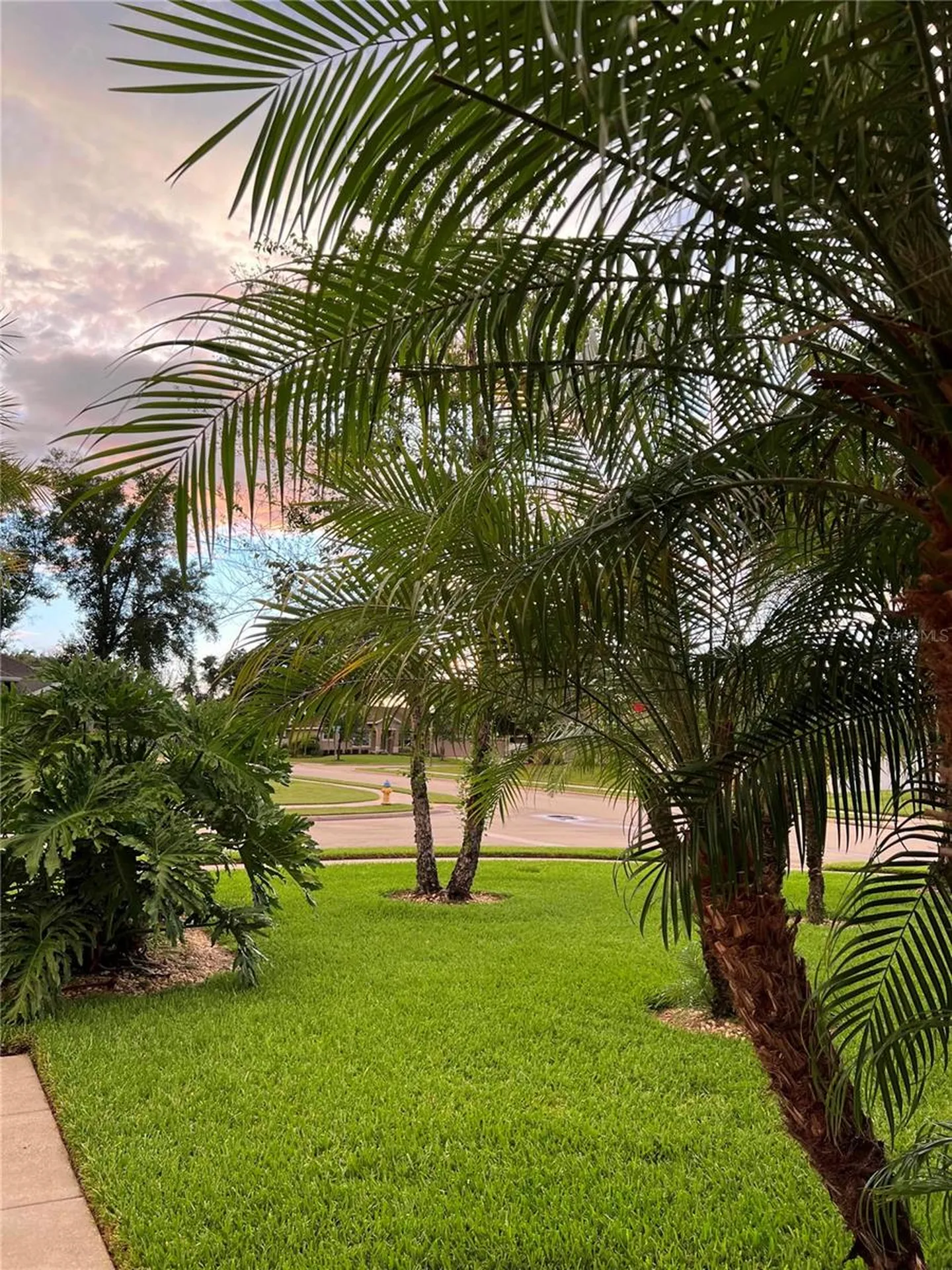 611 Curly Fern Lane Deland FL 32720