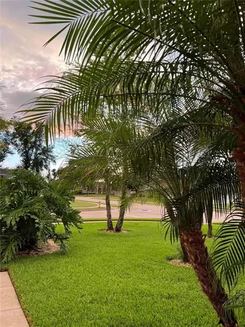 611 Curly Fern Lane Deland FL 32720