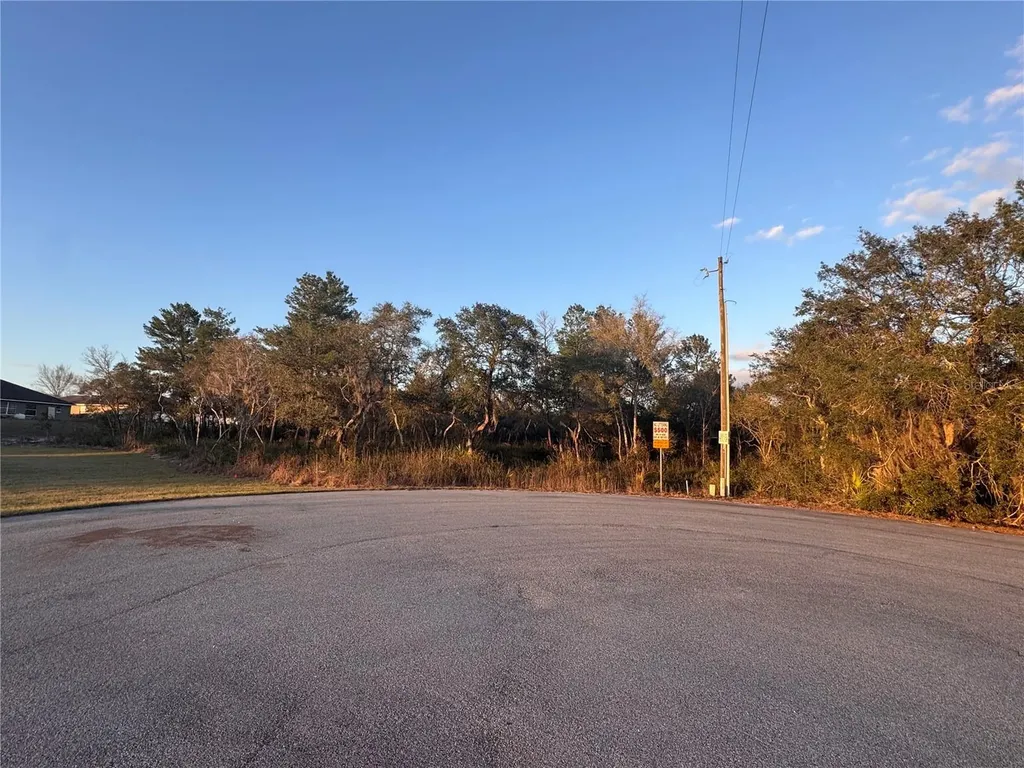 SW 98th Lane Ocala FL 34476