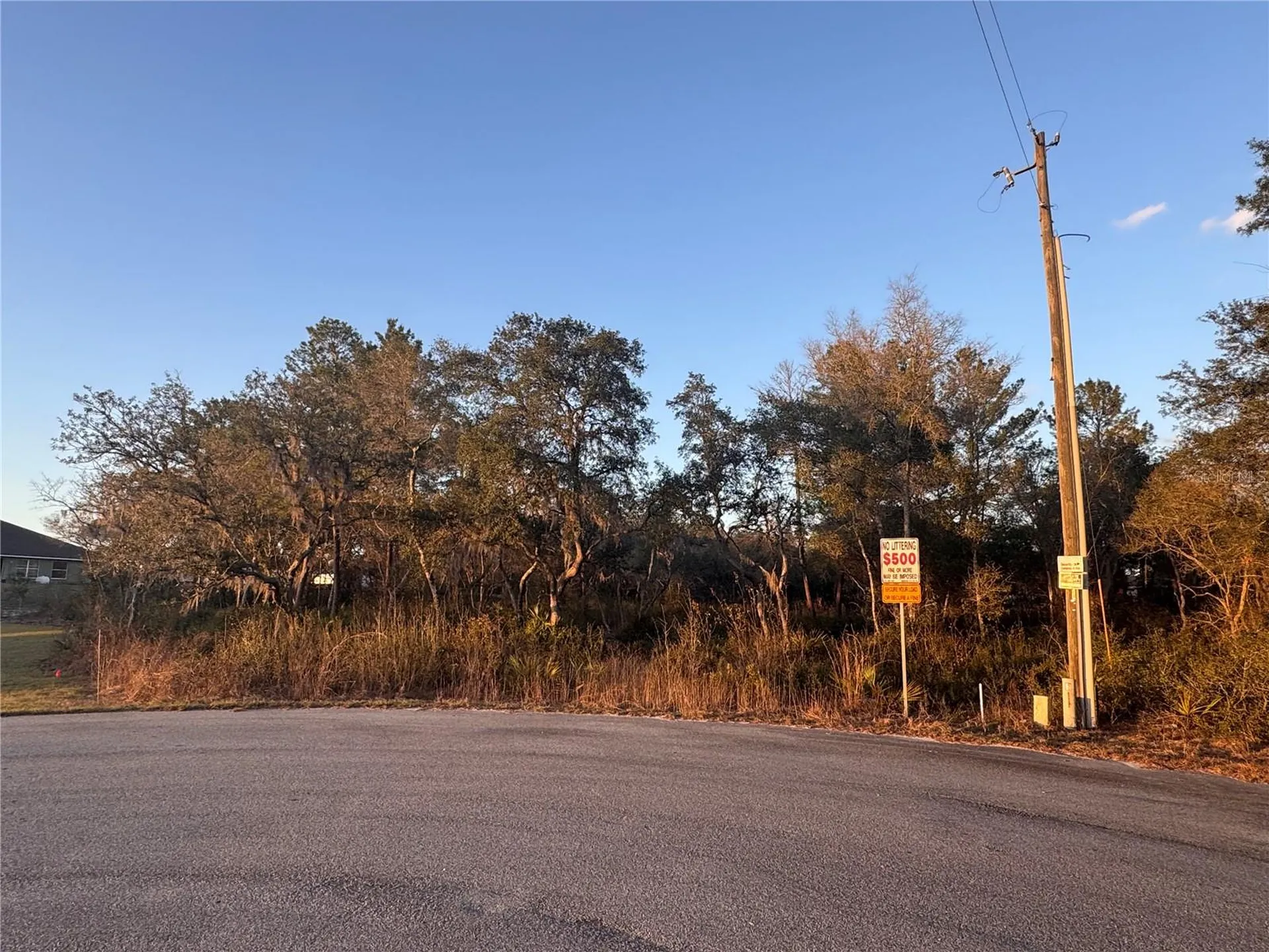 SW 98th Lane Ocala FL 34476