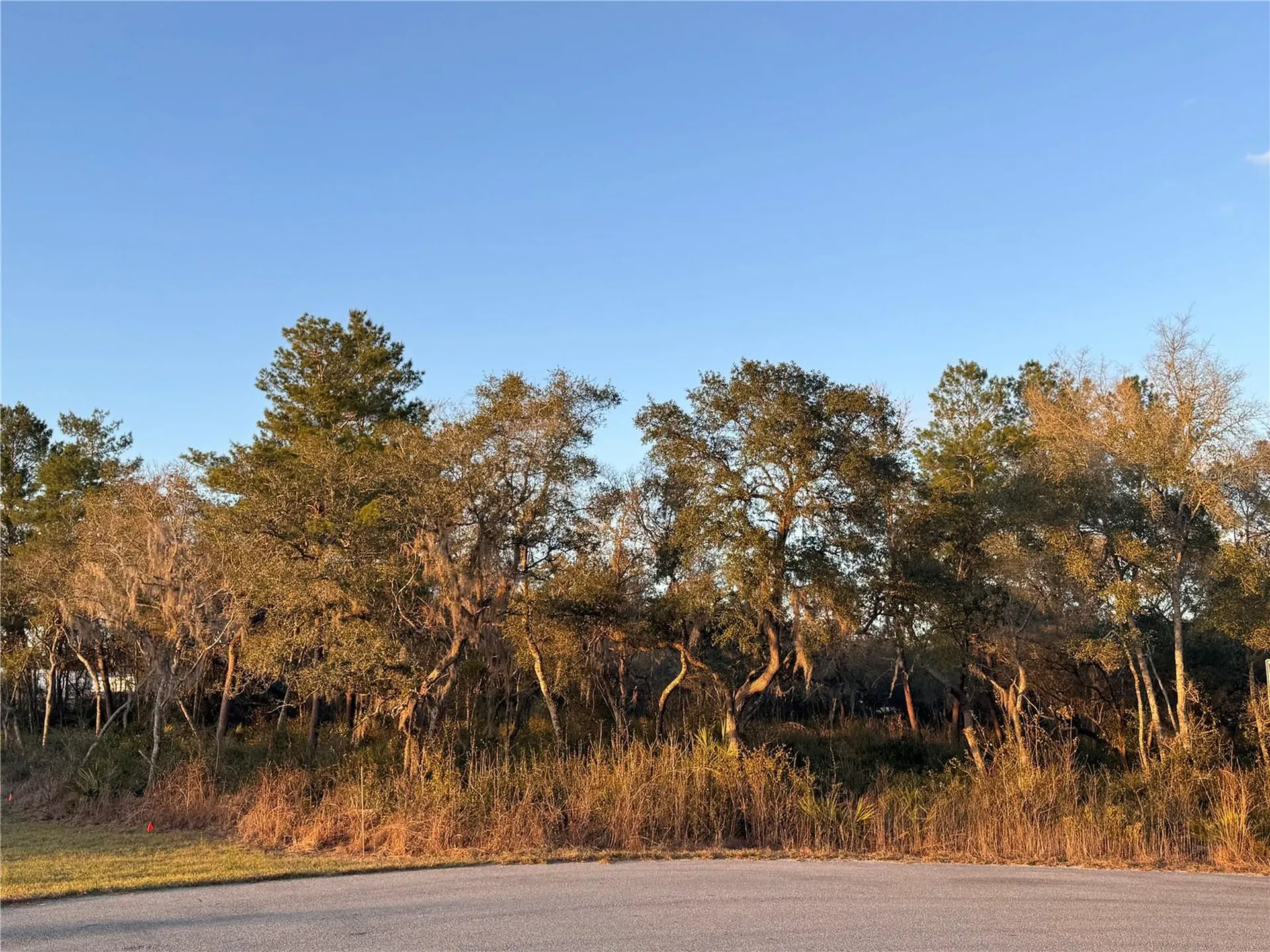 SW 98th Lane Ocala FL 34476