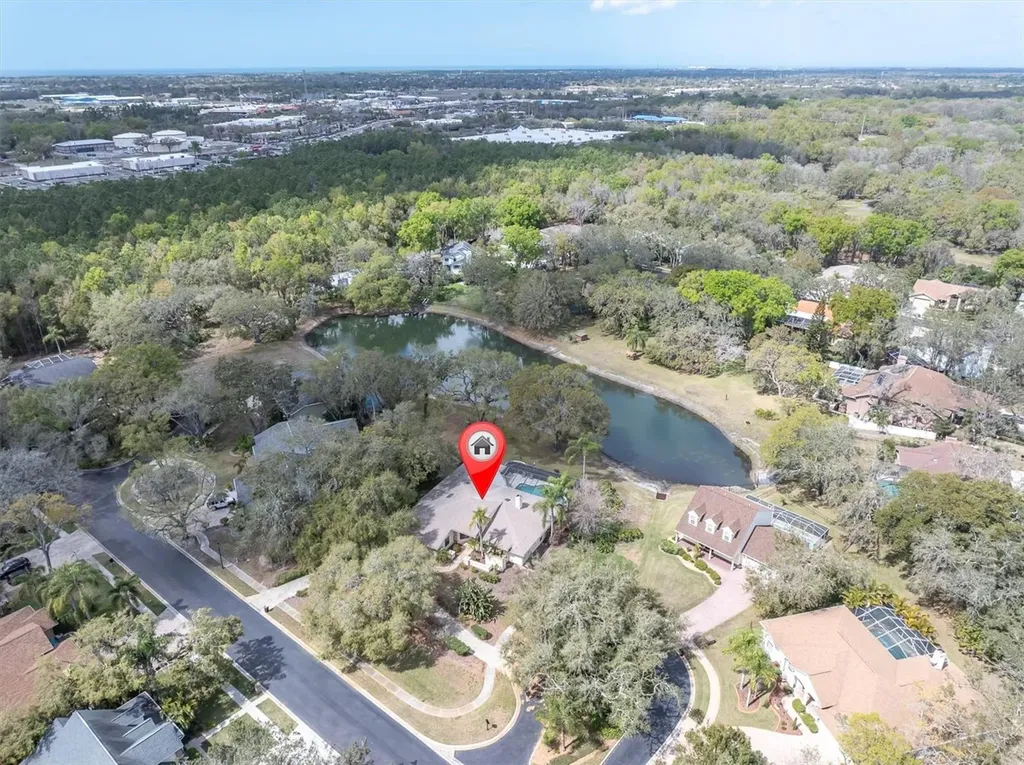 8823 Crescent Forest Boulevard New Port Richey FL 34654