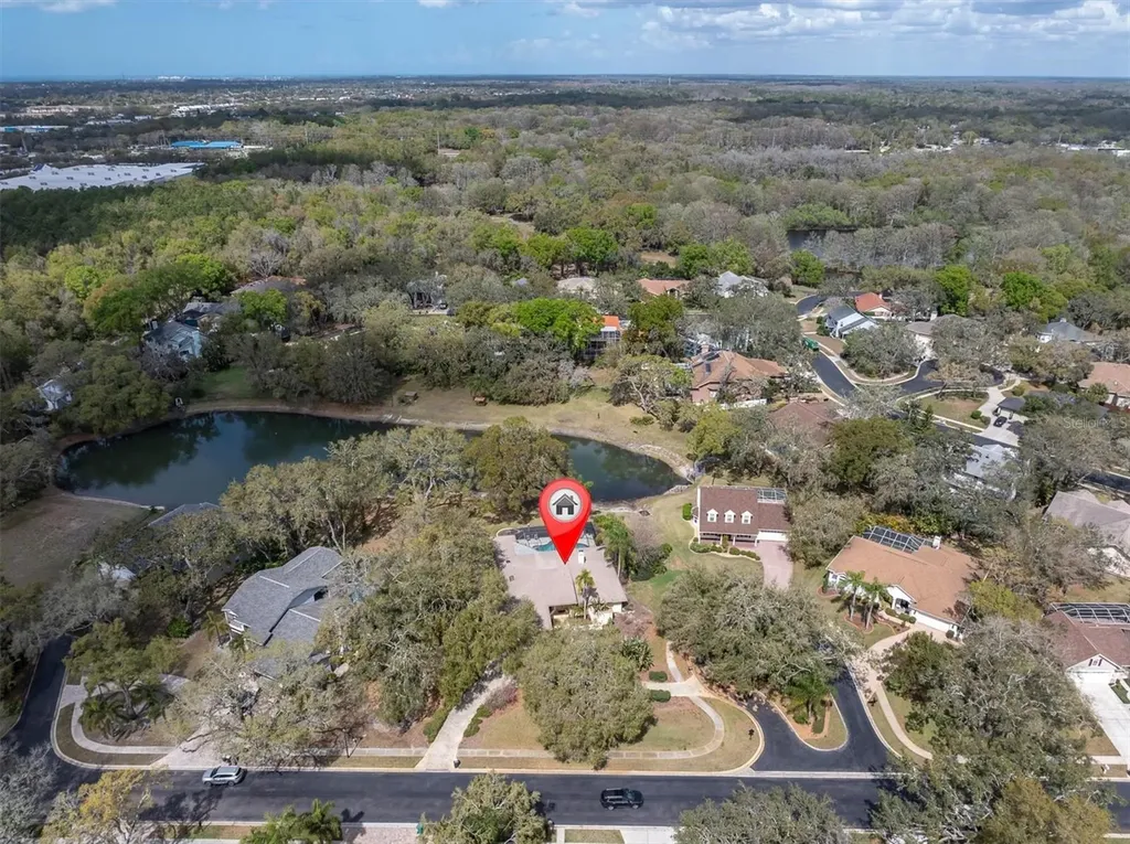 8823 Crescent Forest Boulevard New Port Richey FL 34654