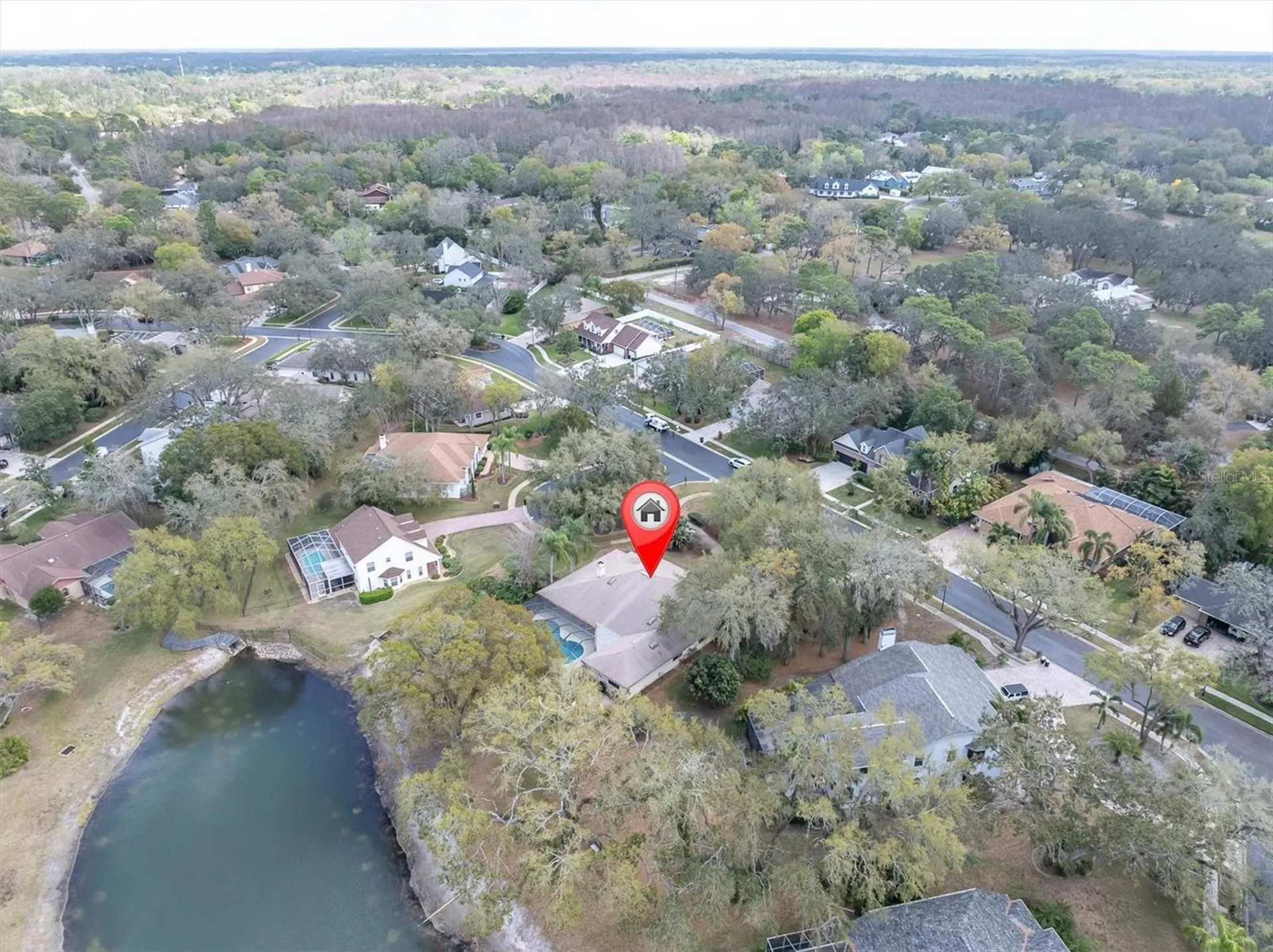 8823 Crescent Forest Boulevard New Port Richey FL 34654