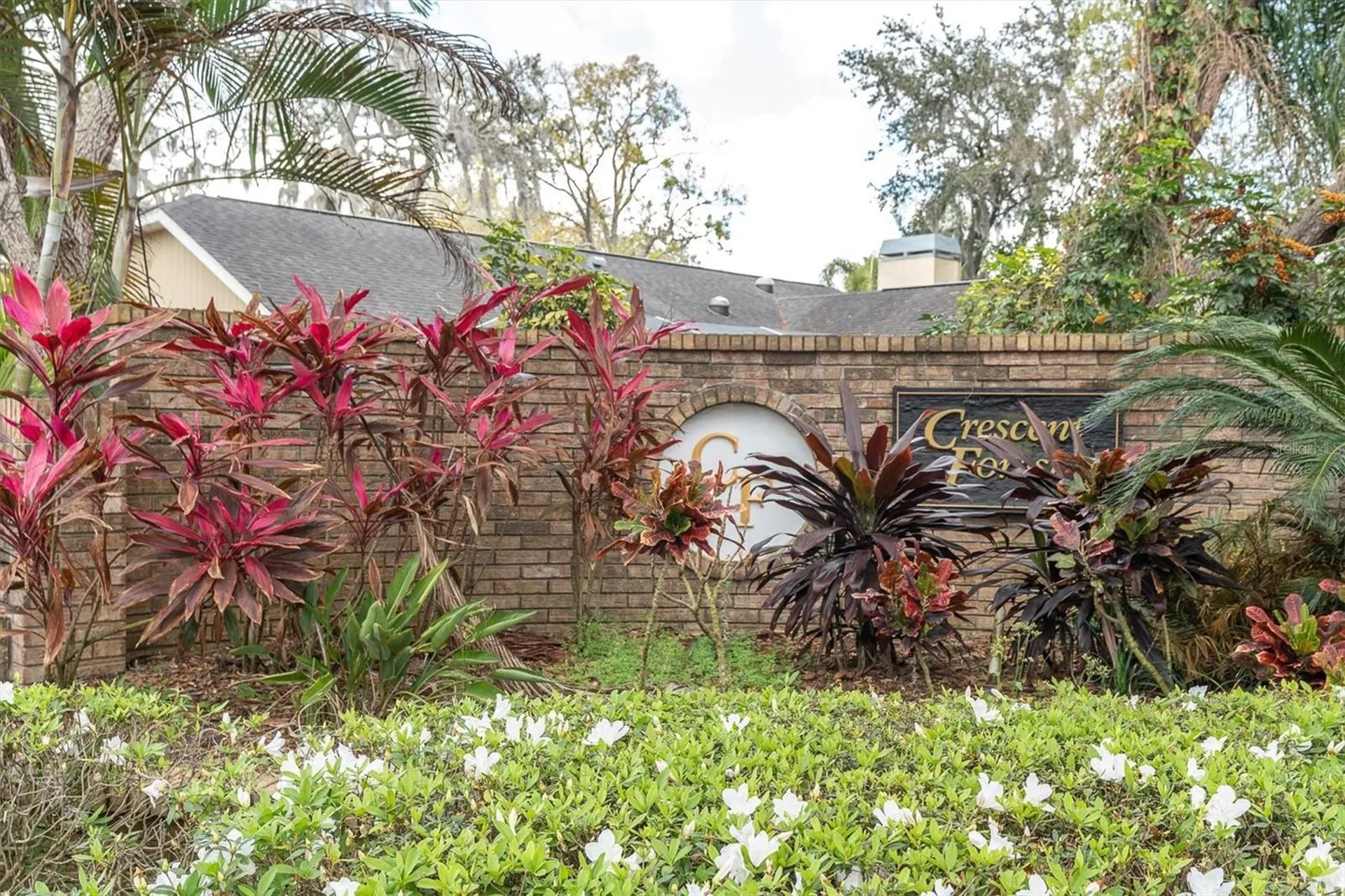8823 Crescent Forest Boulevard New Port Richey FL 34654