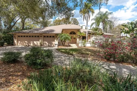 8823 Crescent Forest Boulevard New Port Richey FL 34654