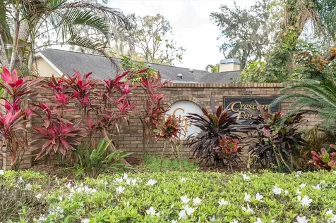 8823 Crescent Forest Boulevard New Port Richey FL 34654