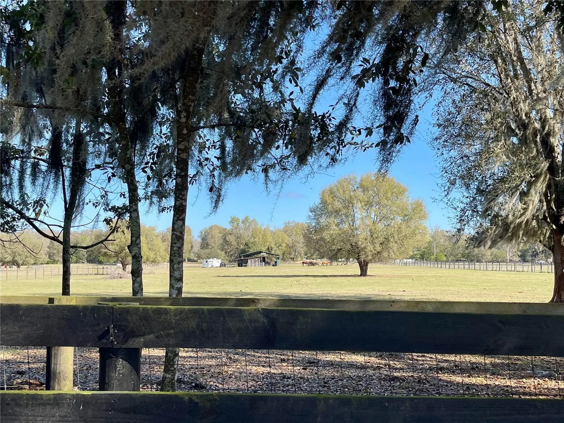 15153 SE 73rd Avenue Summerfield FL 34491