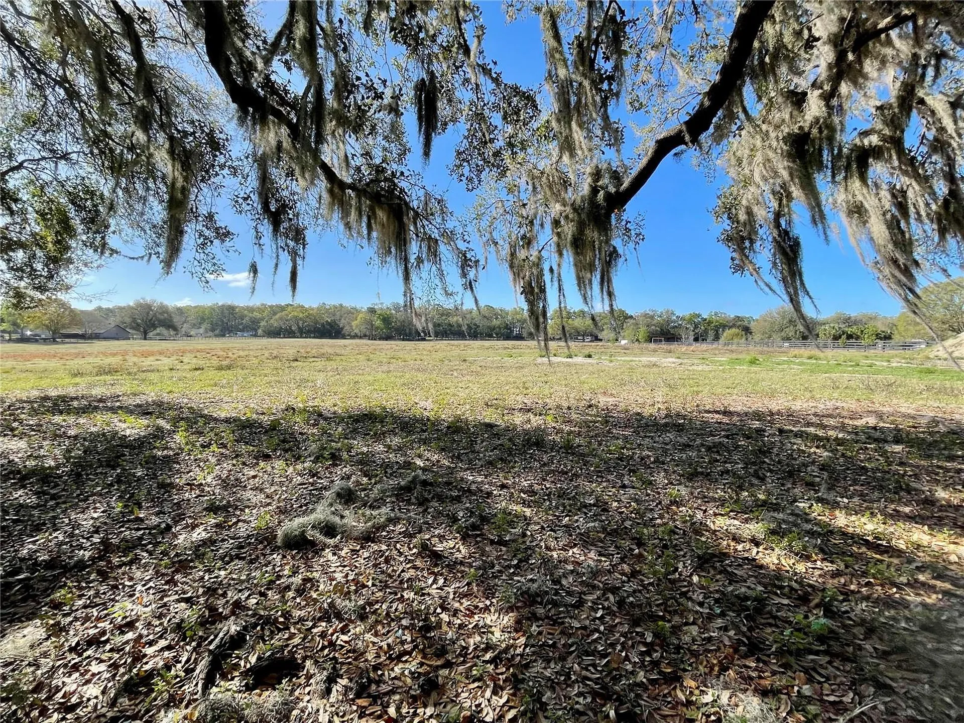 15153 SE 73rd Avenue Summerfield FL 34491