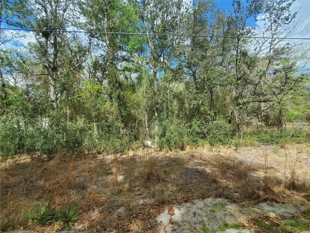 Tbd NE 172nd Lot 11 Place Fort Mc Coy FL 32134