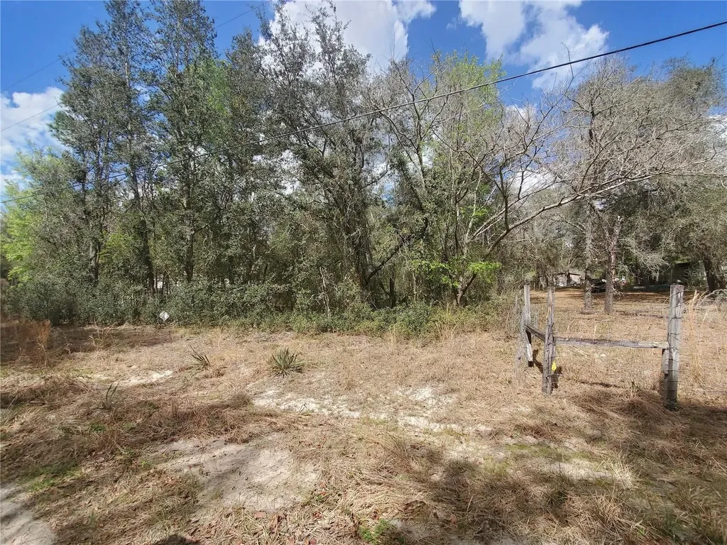Tbd NE 172nd Lot 11 Place Fort Mc Coy FL 32134
