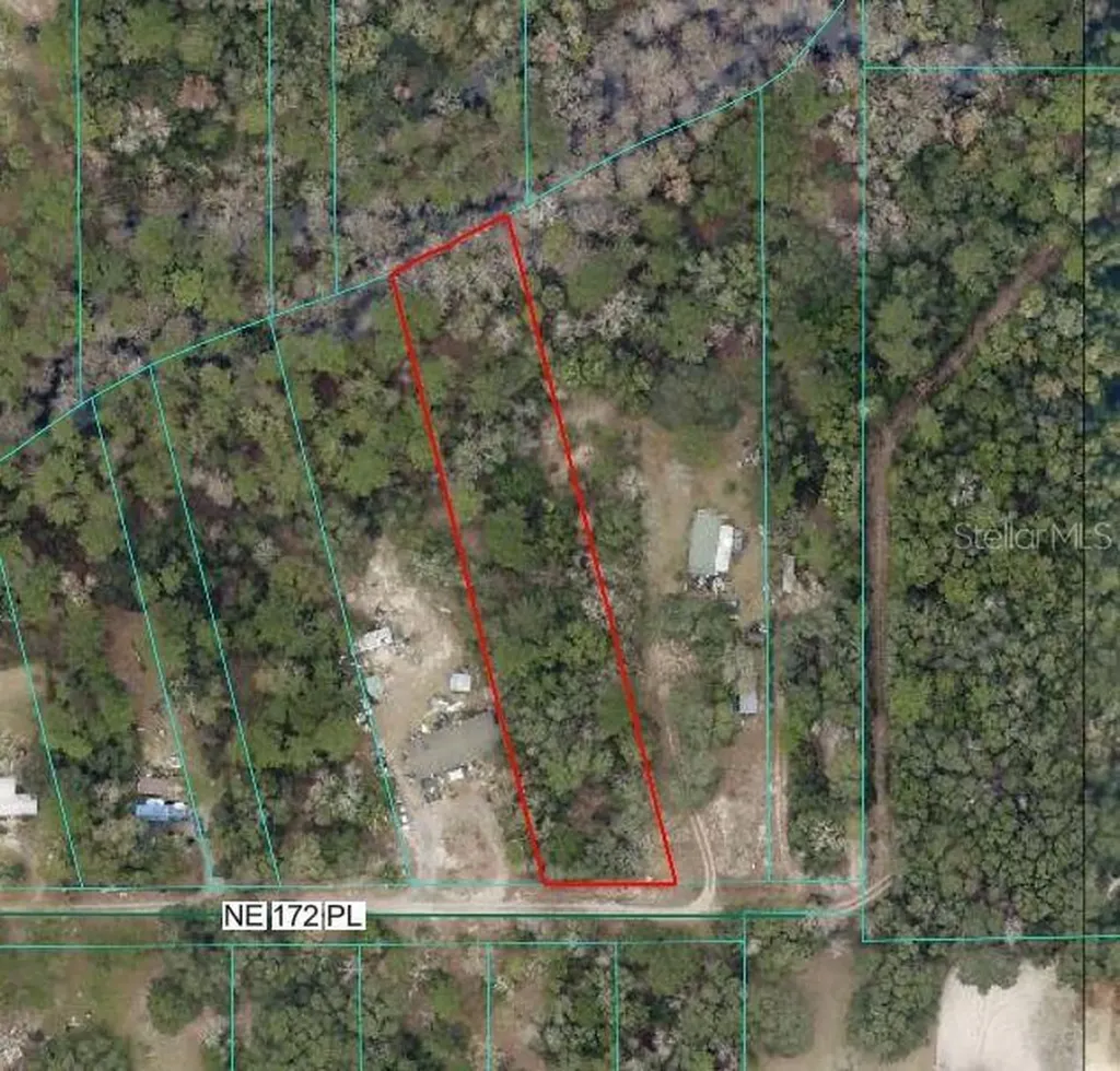 Tbd NE 172nd Lot 11 Place Fort Mc Coy FL 32134
