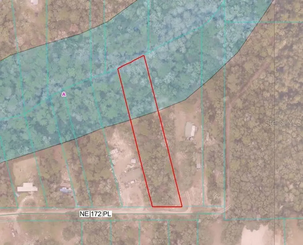 Tbd NE 172nd Lot 11 Place Fort Mc Coy FL 32134