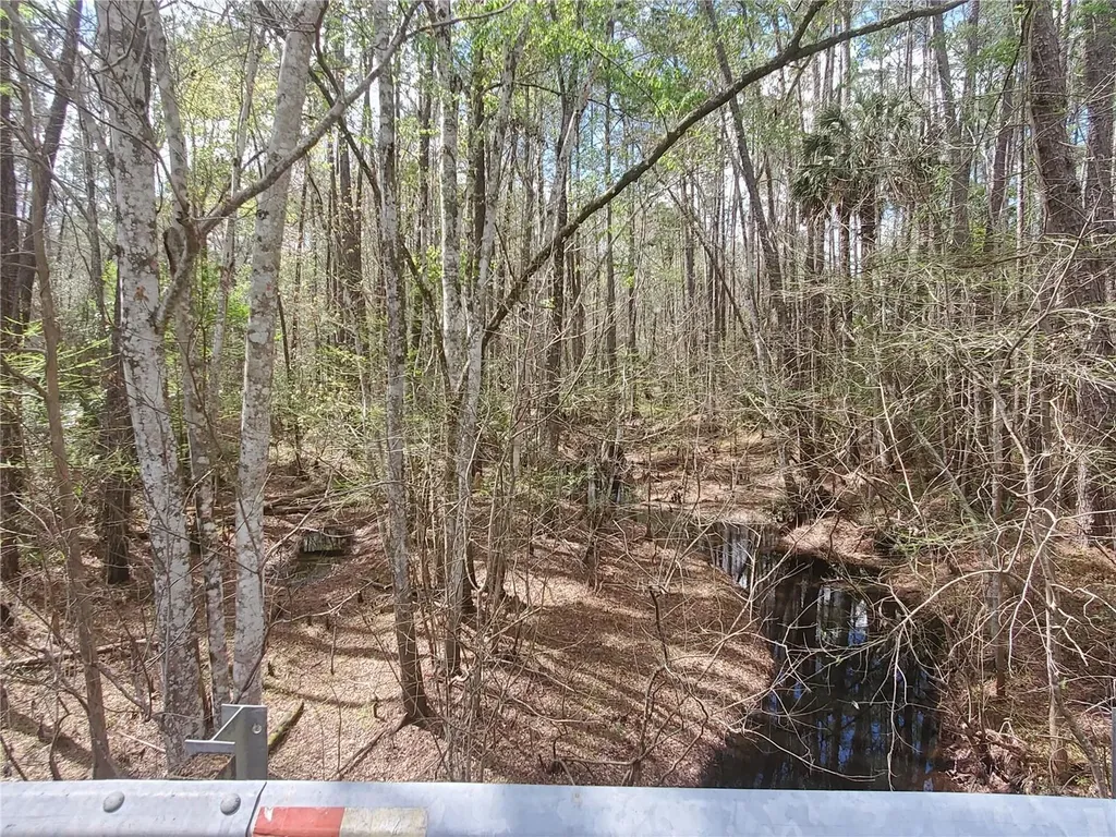 Tbd NE 172nd Lot 11 Place Fort Mc Coy FL 32134