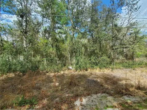 Tbd NE 172nd Lot 11 Place Fort Mc Coy FL 32134