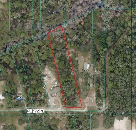 Tbd NE 172nd Lot 11 Place Fort Mc Coy FL 32134