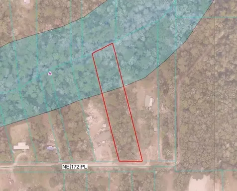 Tbd NE 172nd Lot 11 Place Fort Mc Coy FL 32134