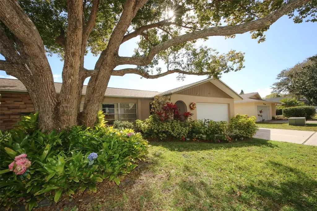 45 Turnstone Drive Safety Harbor FL 34695