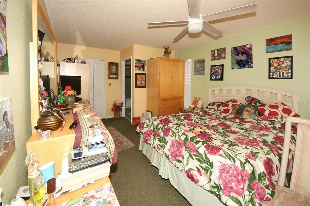 45 Turnstone Drive Safety Harbor FL 34695