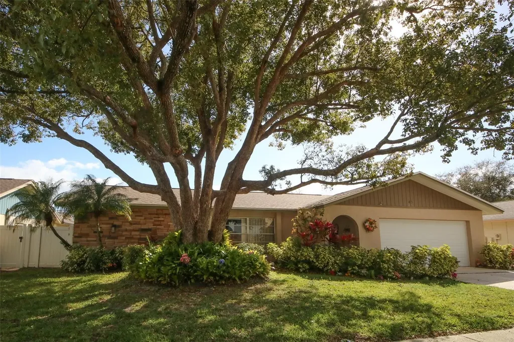 45 Turnstone Drive Safety Harbor FL 34695