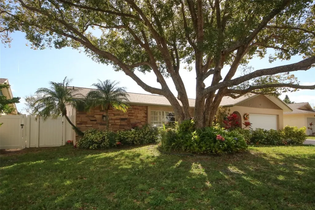 45 Turnstone Drive Safety Harbor FL 34695