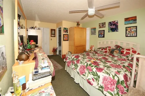 45 Turnstone Drive Safety Harbor FL 34695
