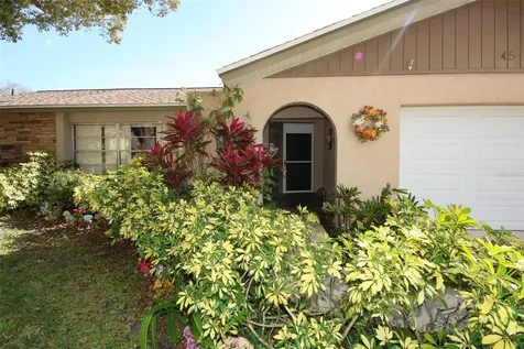 45 Turnstone Drive Safety Harbor FL 34695