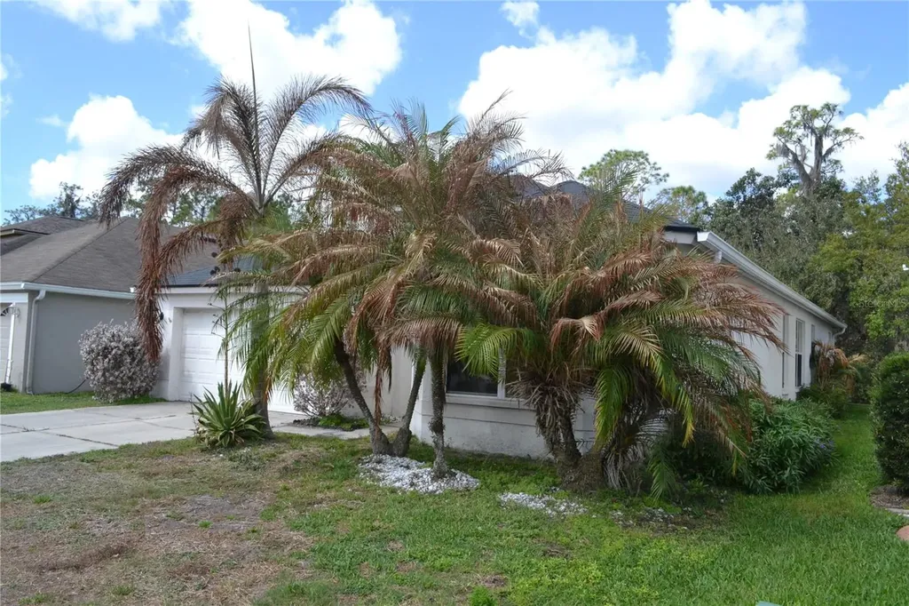 27353 Edenfield Drive Wesley Chapel FL 33544