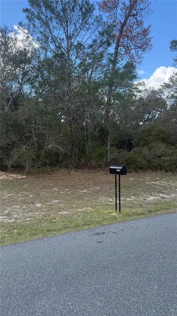 Tbd SW 40th Circle Ocala FL 34473