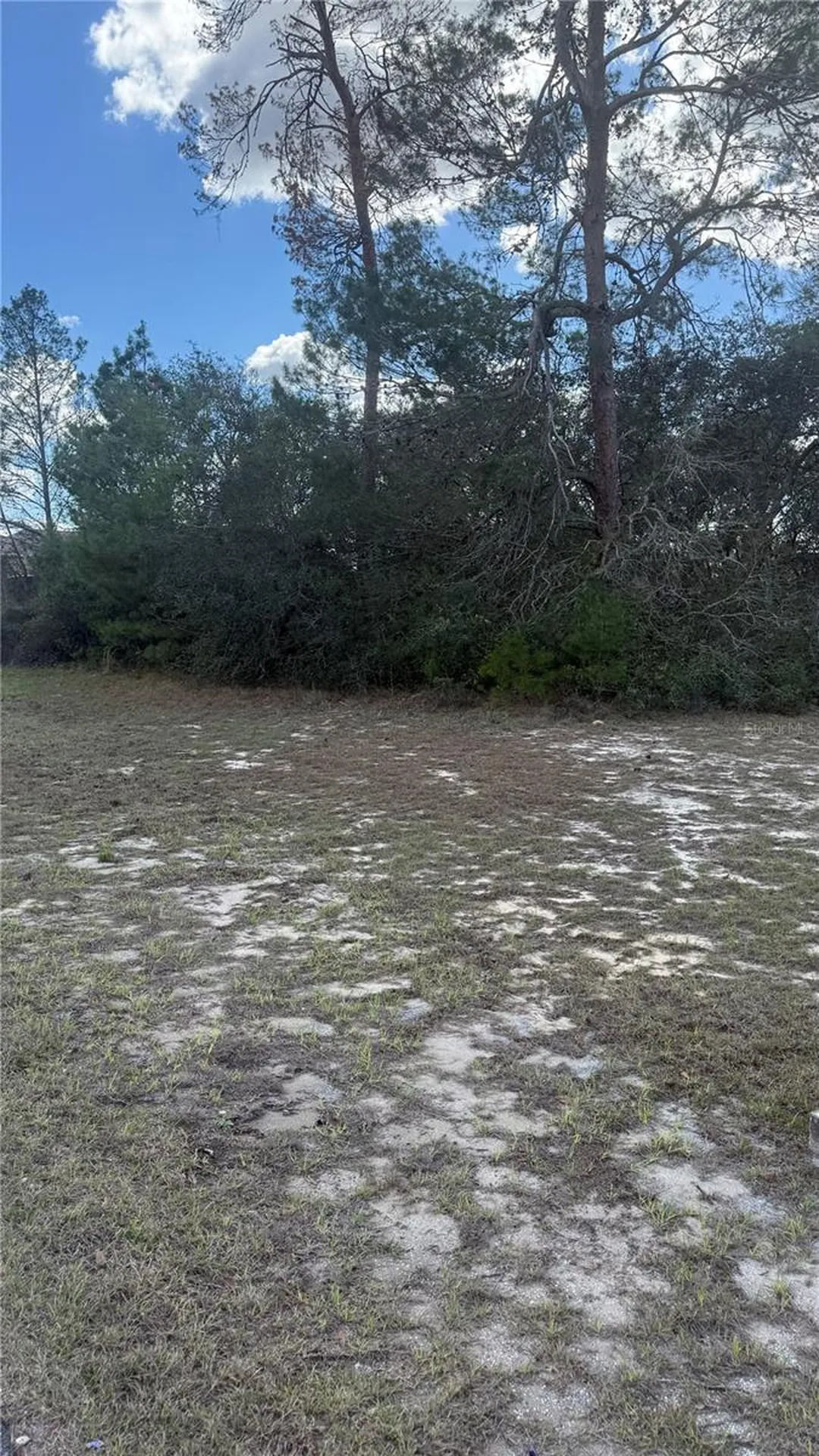 Tbd SW 40th Circle Ocala FL 34473