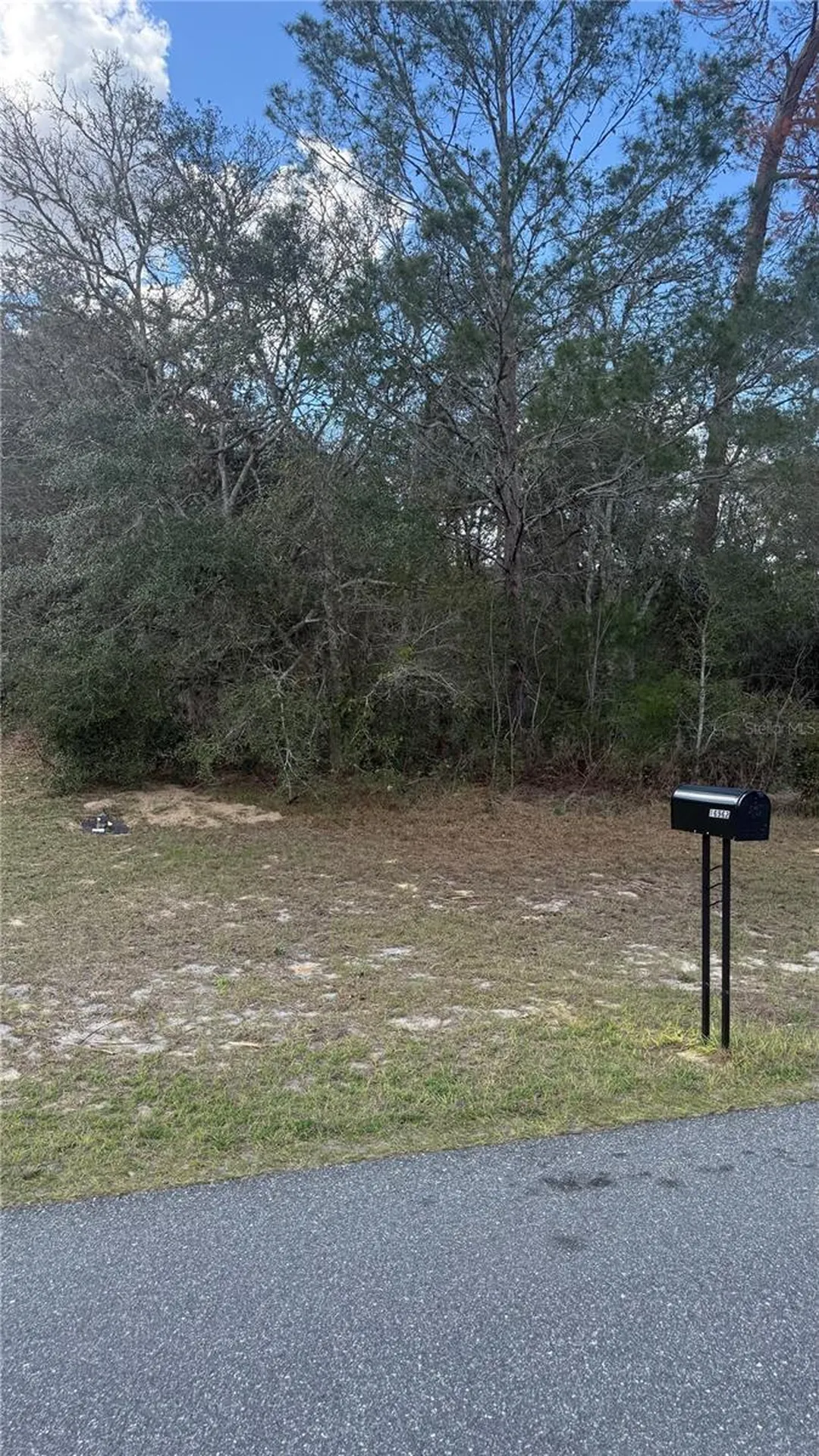 Tbd SW 40th Circle Ocala FL 34473