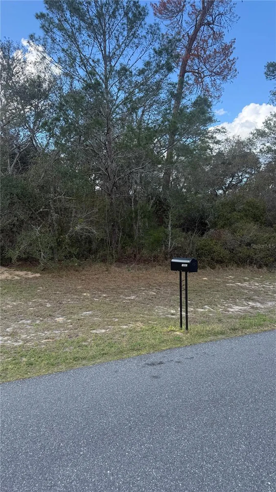 Tbd SW 40th Circle Ocala FL 34473