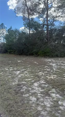 Tbd SW 40th Circle Ocala FL 34473
