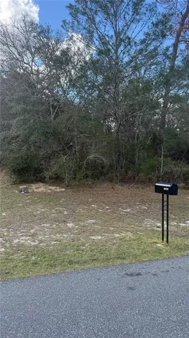 Tbd SW 40th Circle Ocala FL 34473