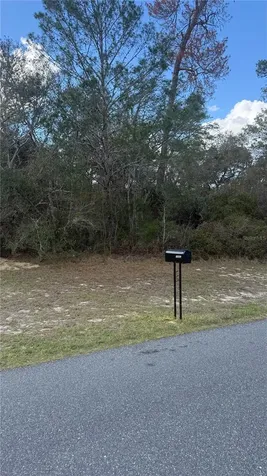 Tbd SW 40th Circle Ocala FL 34473