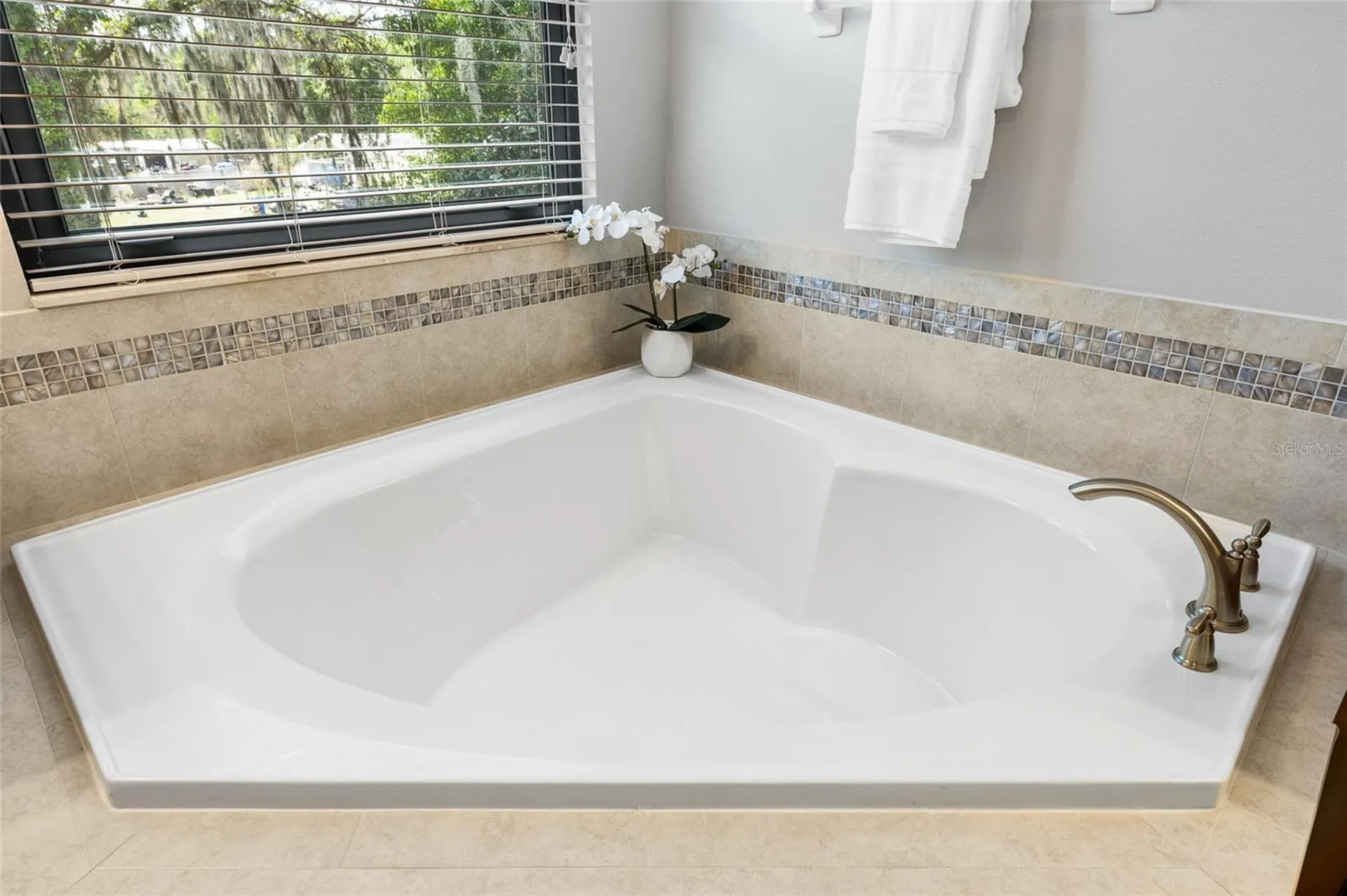 11741 Albatross Lane Riverview FL 33569