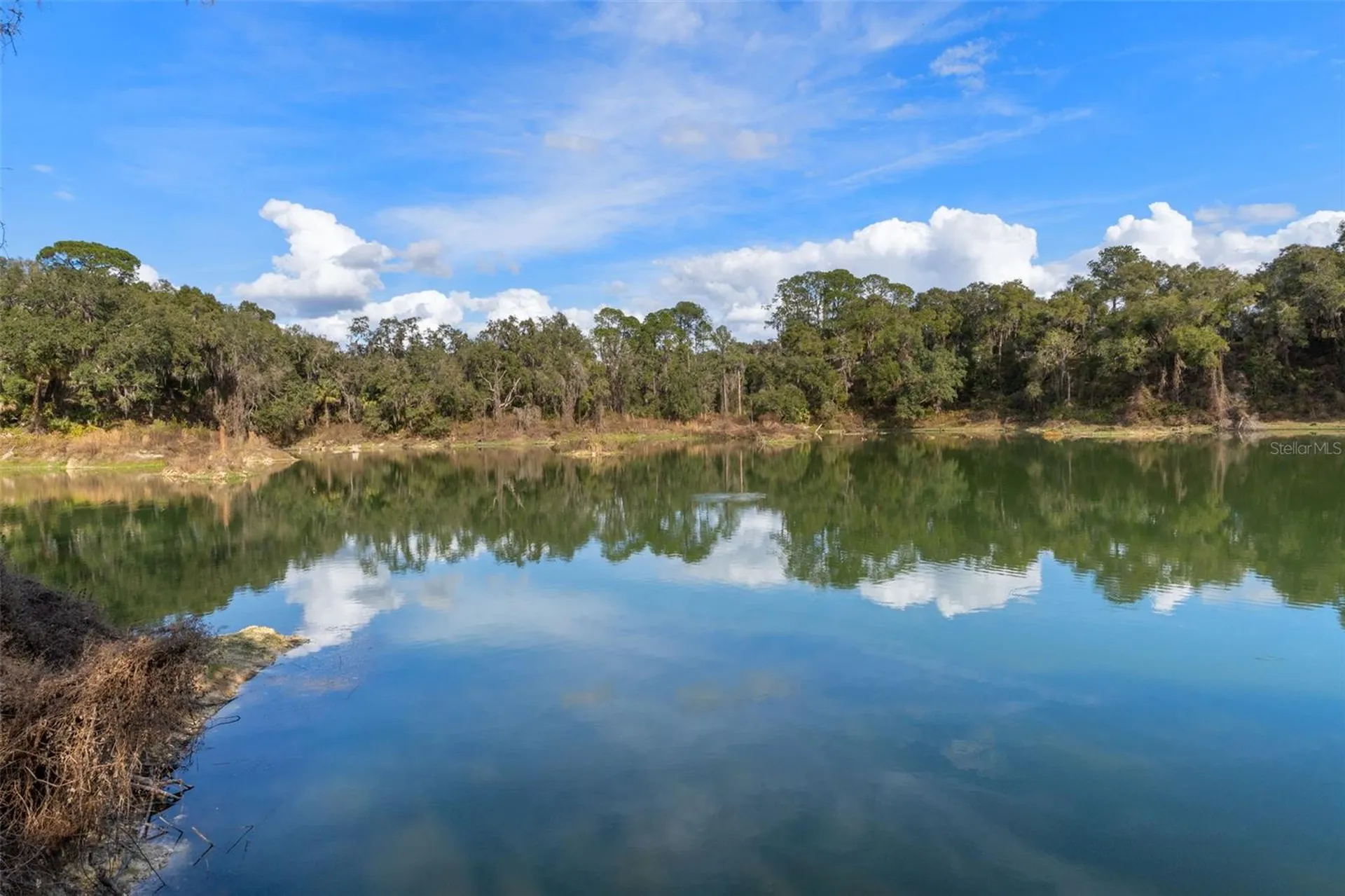 3444 N Canterbury Lake Drive Hernando FL 34442