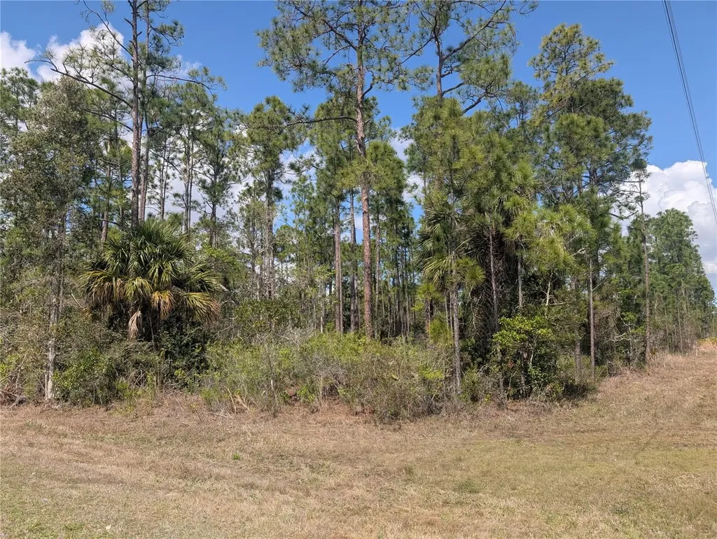 802 Althea Drive Indian Lake Estates FL 33855