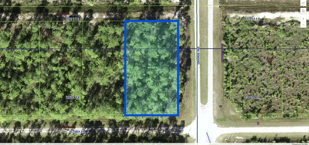 802 Althea Drive Indian Lake Estates FL 33855