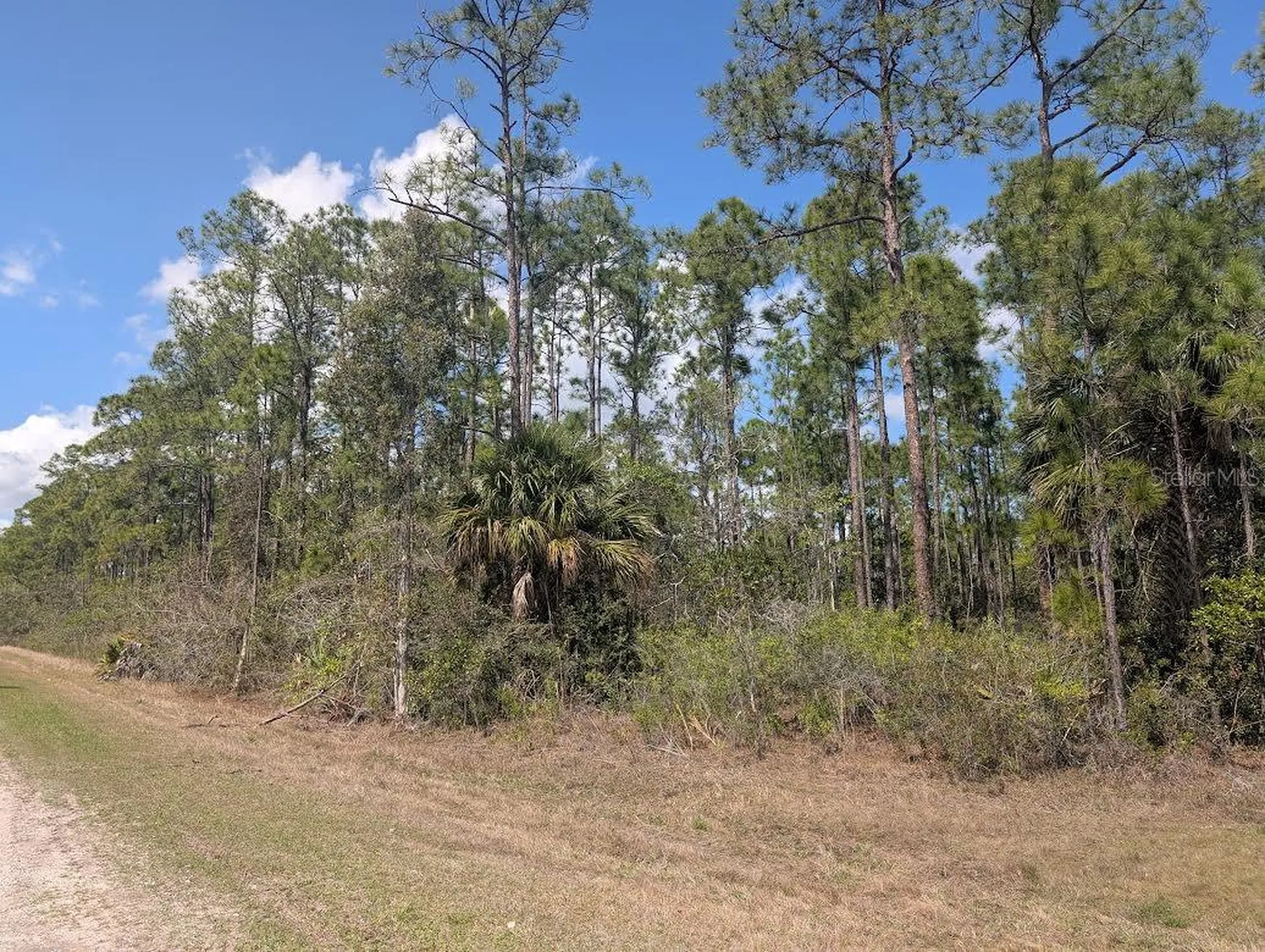802 Althea Drive Indian Lake Estates FL 33855