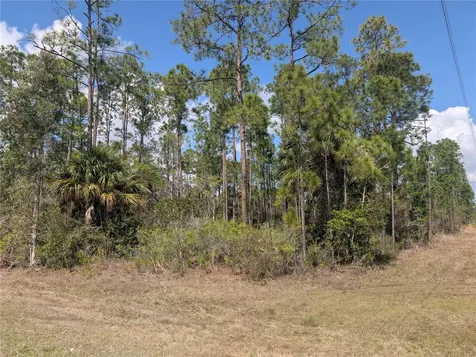 802 Althea Drive Indian Lake Estates FL 33855