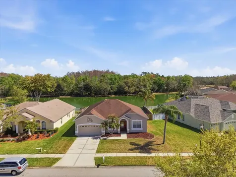 3825 Grand Forks Drive Land O Lakes FL 34639