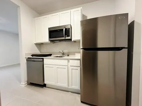 339 Puma Loop Groveland FL 34736
