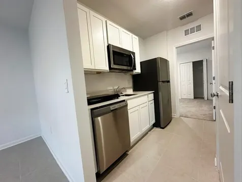 339 Puma Loop Groveland FL 34736